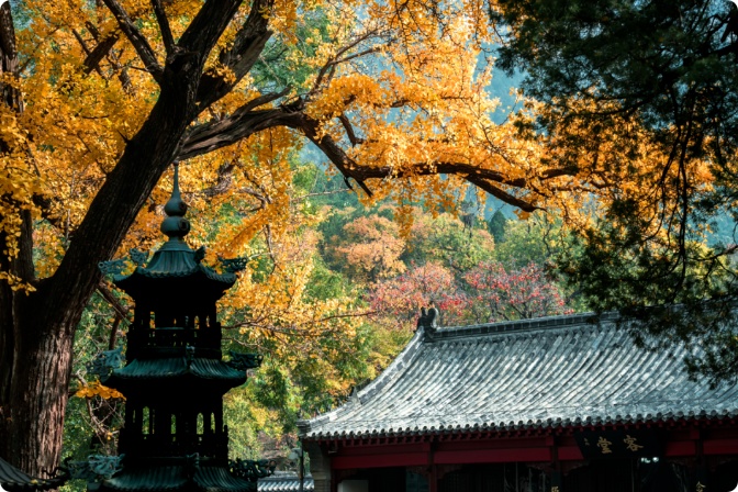 济南这个景区，11月28日这些时段闭园