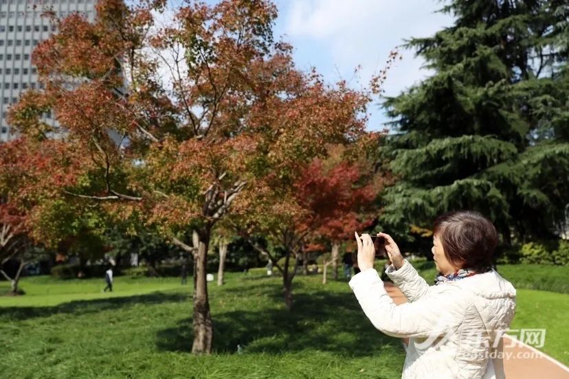 寒潮发威，更冷→最冷！上海晴冷继续升级，周四早晨市区最低3℃，郊区仅1℃