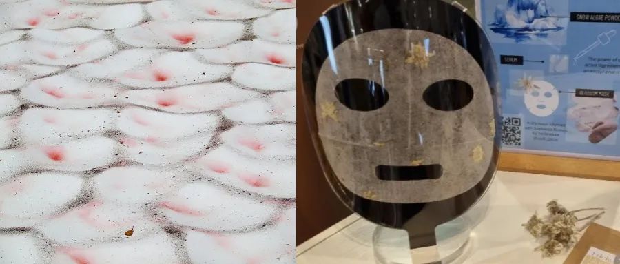 南极突然冒出来的“西瓜雪”,除了开发外太空还可以当面膜 南极突然冒出来的“西瓜雪”,除了开发外太空还可以当面膜