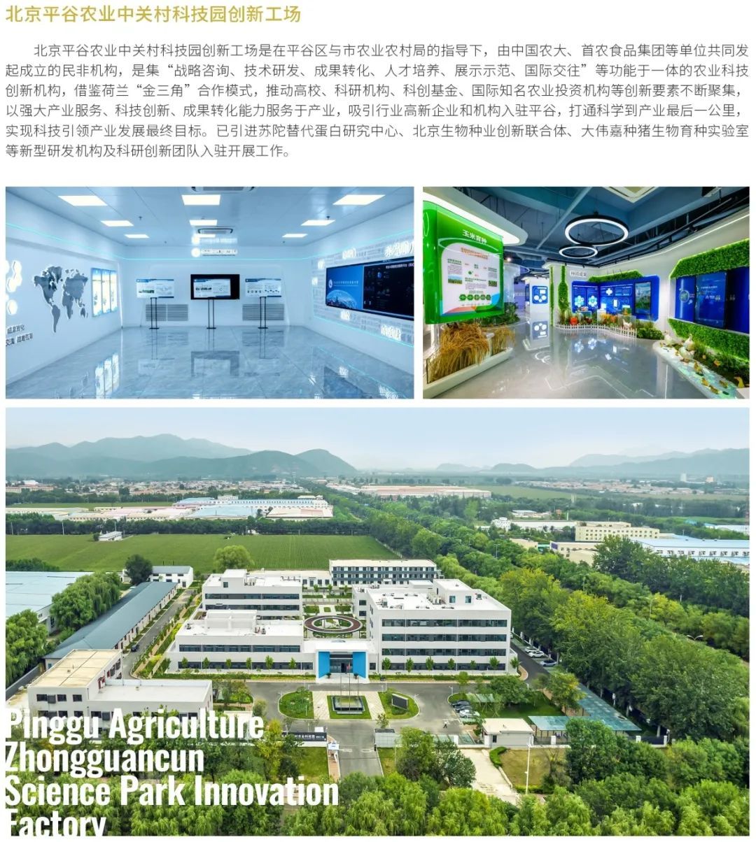 拍摄服务|影视场景的田园诗与仙侠梦从这里启航——⑭平谷区 拍摄服务|影视场景的田园诗与仙侠梦从这里启航——⑭平谷区