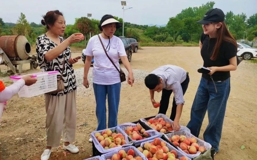 湖北大悟县：椒红茶香桃蜜 乡村振兴开启“幸福门”