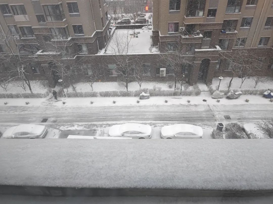 一觉醒来，沈阳全白了！辽宁多地发布道路结冰黄色预警
