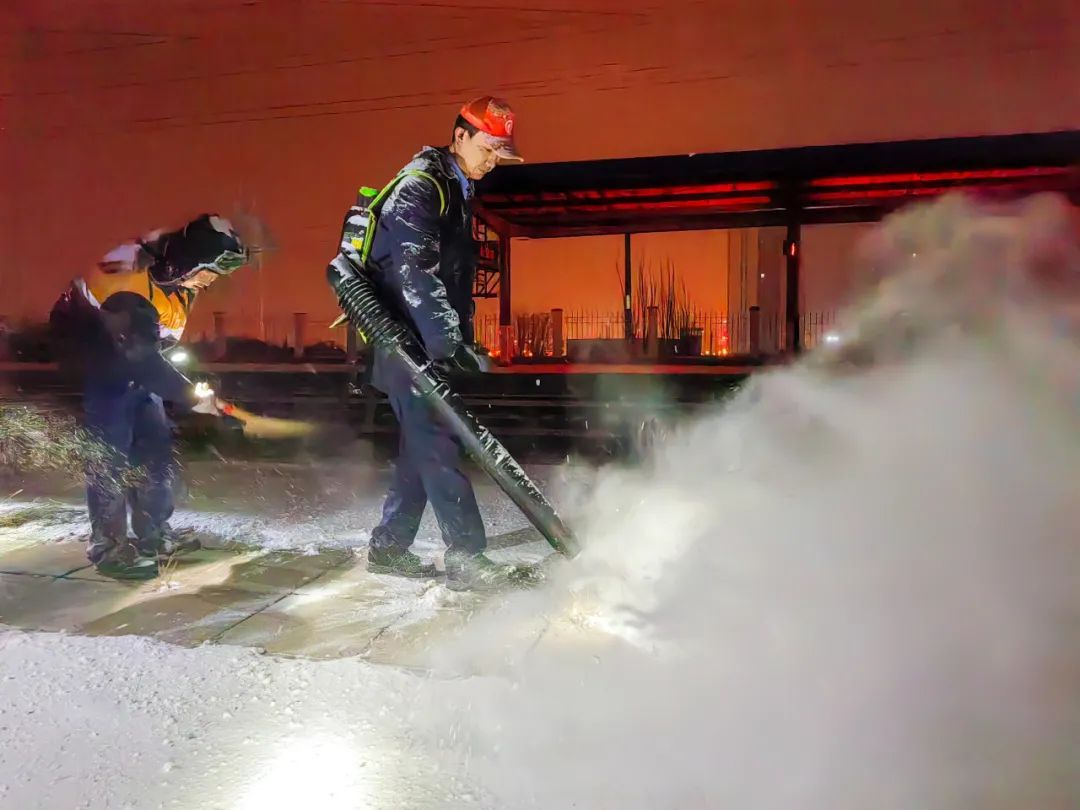 雪雪雪来了！网友：这样的场景堪比大片！