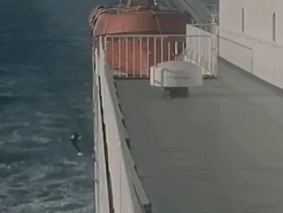 死刑！男子为骗1200万保险金将妻子推落大海