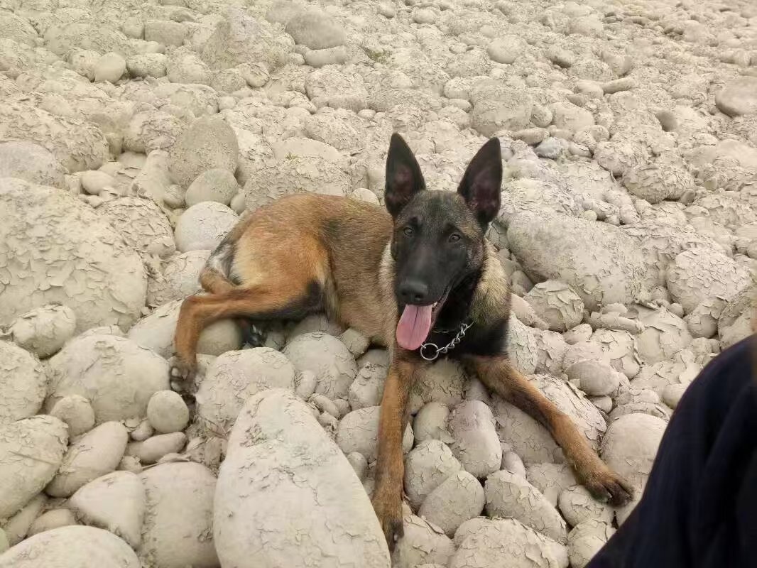 “刀锋”，一路走好！