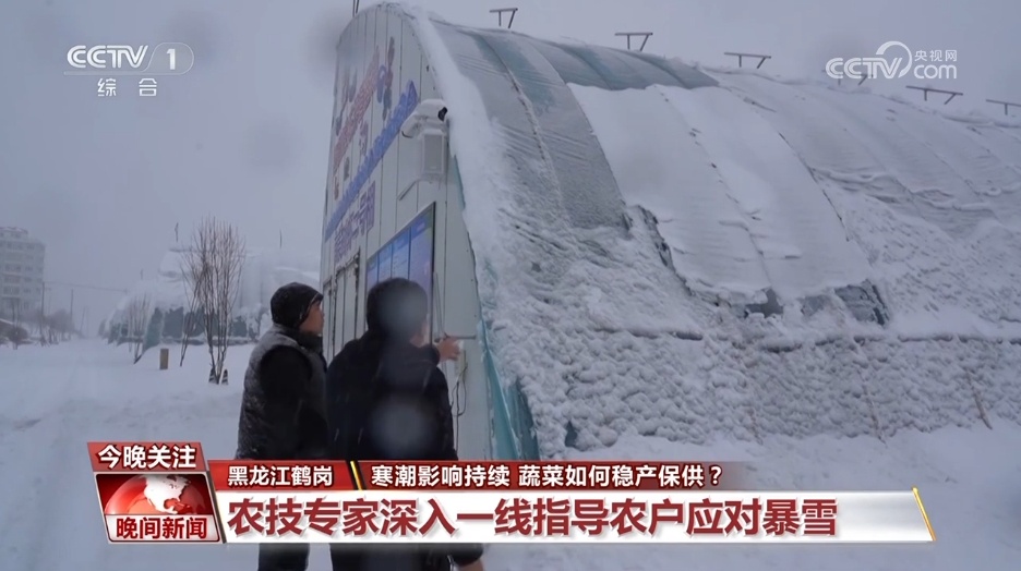 寒潮天气下 各地多措并举保障“菜篮子”充足供应