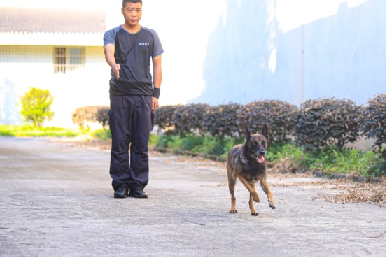 “刀锋”，一路走好！