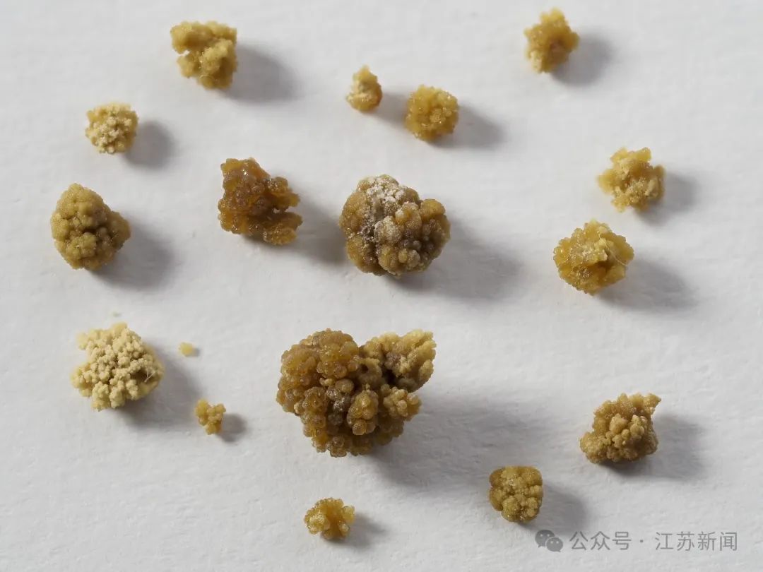 这种病,不痛比痛更可怕! 这种病,不痛比痛更可怕!