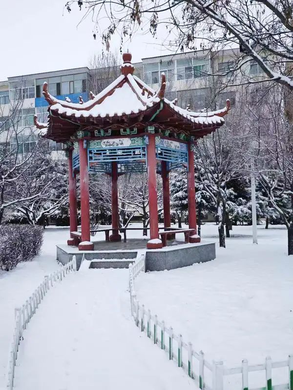 山西多地迎来今冬首场降雪 山西多地迎来今冬首场降雪