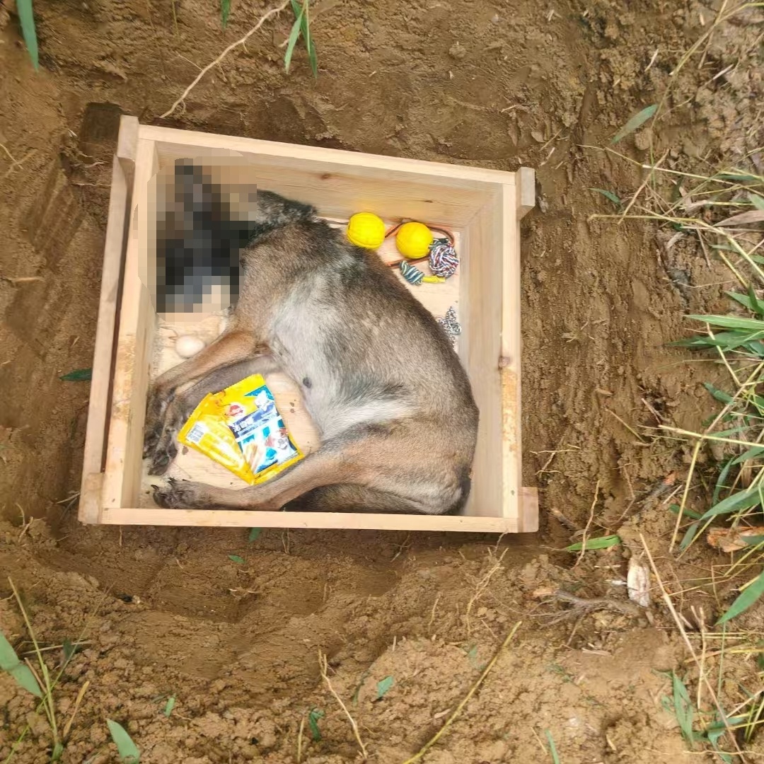 “刀锋”，一路走好！