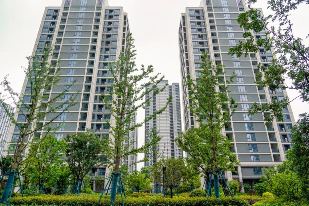 近3000套!杭州一大批人搬新家了,男子直呼:“又紧张又兴奋!” 近3000套!杭州一大批人搬新家了,男子直呼:“又紧张又兴奋!”