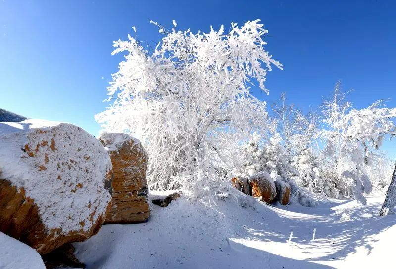 山西多地迎来今冬首场降雪 山西多地迎来今冬首场降雪