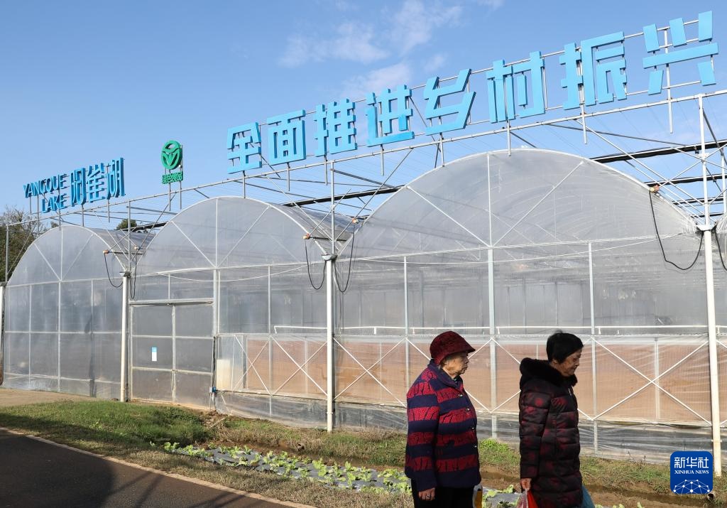 高质量发展调研行丨科技赋能奏响湖南乡村振兴“椒”响曲 高质量发展调研行丨科技赋能奏响湖南乡村振兴“椒”响曲