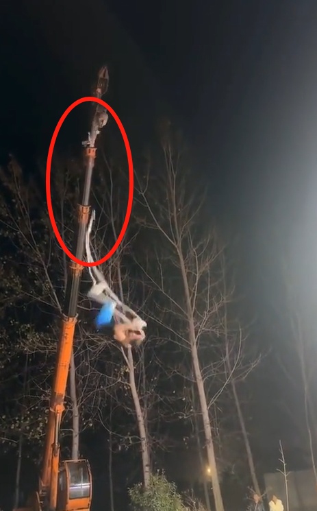 一杂技演员直播表演时从高空坠落，家属回应！妻子去年已在表演时坠亡