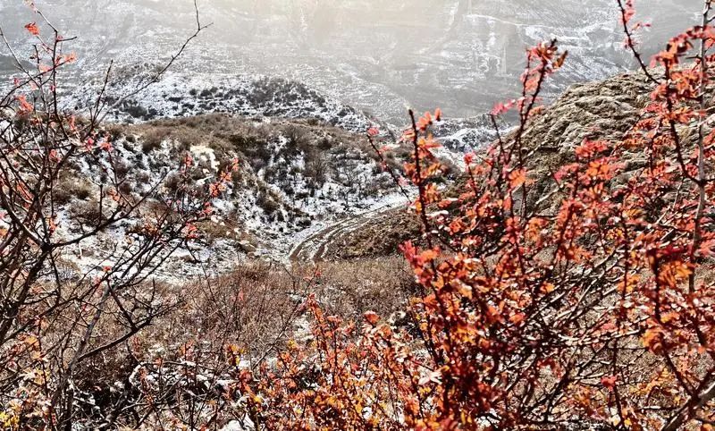 山西多地迎来今冬首场降雪 山西多地迎来今冬首场降雪