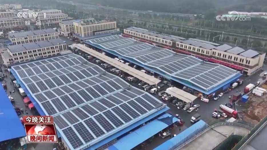 寒潮天气下 各地多措并举保障“菜篮子”充足供应