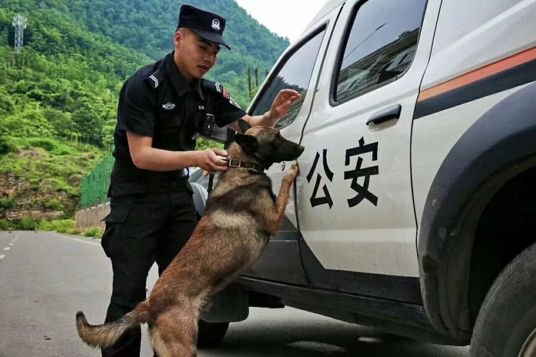 “刀锋”，一路走好！