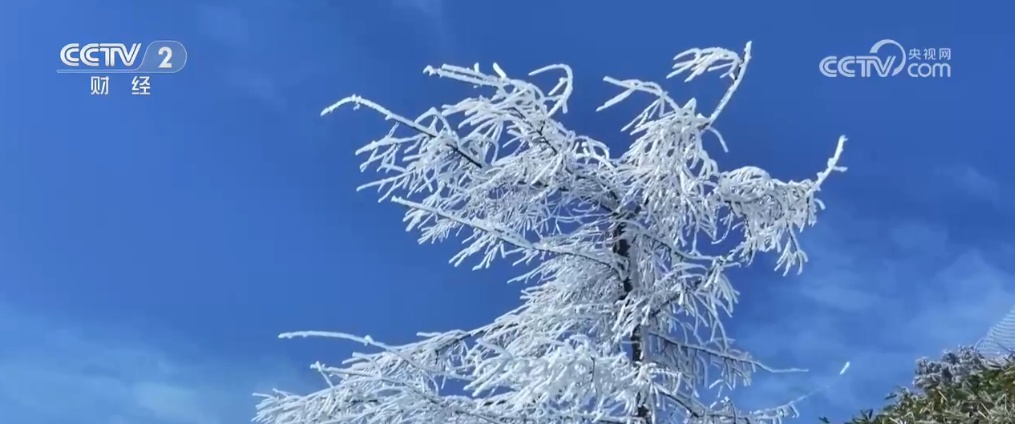 银装素裹引客来 各地冰雪美景助“冷”资源变“热”经济