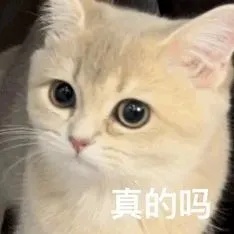 “医用级”卫生巾遭抢购？医生提醒→