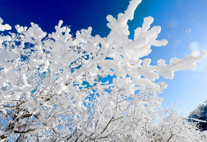 山西多地迎来今冬首场降雪 山西多地迎来今冬首场降雪