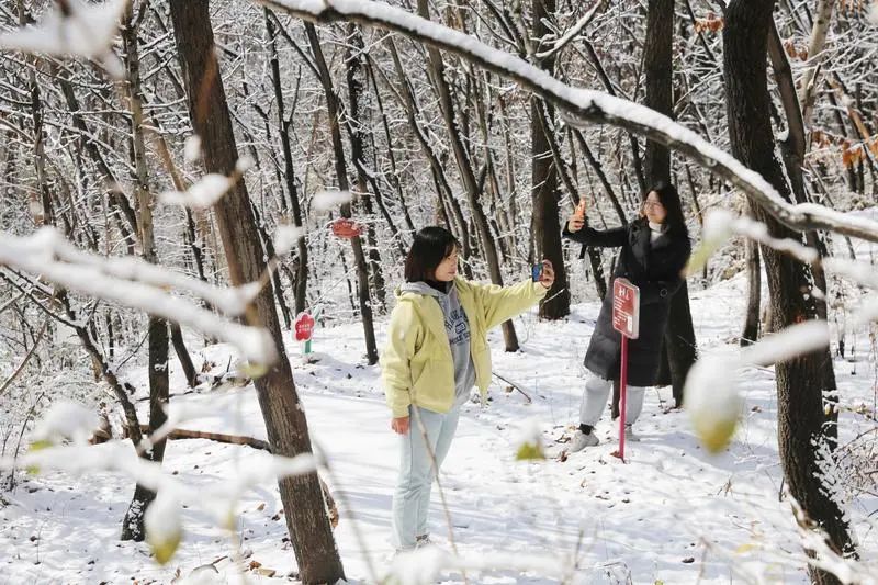 山西多地迎来今冬首场降雪 山西多地迎来今冬首场降雪