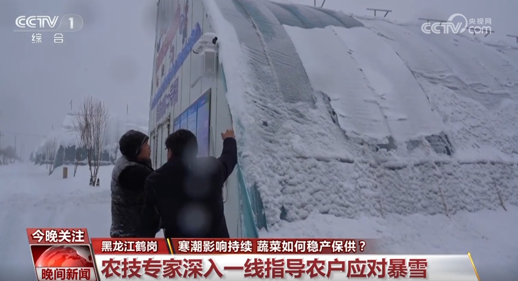 各地各部门积极应对极端天气保障民生 多举措保障“菜篮子”稳产保供