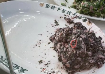 袁记云饺被曝饺子馅上有苍蝇在飞 袁记云饺回应：会严肃批评并责令改正