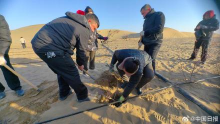 锁边“合龙”!塔克拉玛干沙漠的围巾织好了 锁边“合龙”!塔克拉玛干沙漠的围巾织好了