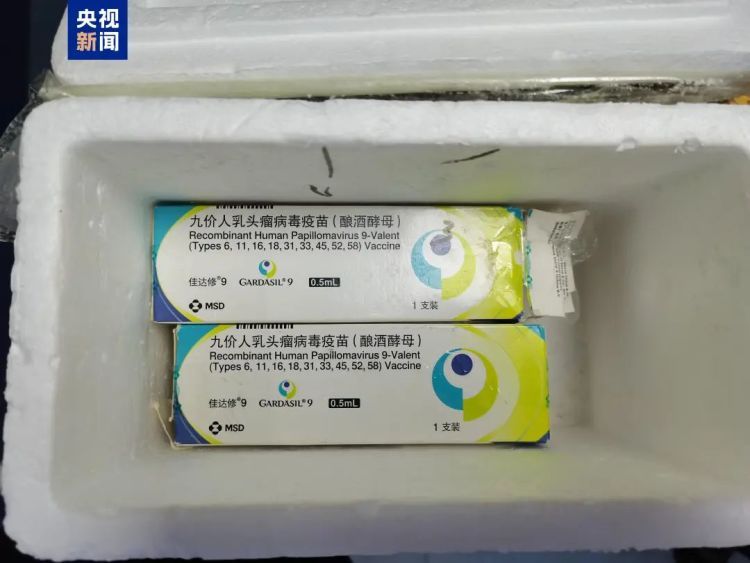 “私人渠道”HPV疫苗?生理盐水假冒!警方紧急提醒 “私人渠道”HPV疫苗?生理盐水假冒!警方紧急提醒