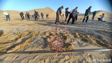 锁边“合龙”!塔克拉玛干沙漠的围巾织好了 锁边“合龙”!塔克拉玛干沙漠的围巾织好了