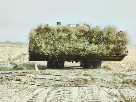 锁边“合龙”!塔克拉玛干沙漠的围巾织好了 锁边“合龙”!塔克拉玛干沙漠的围巾织好了