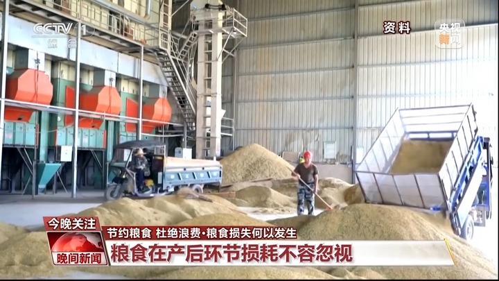 减少粮食浪费有多少学问?收割、储存、加工每个环节都不能少! 减少粮食浪费有多少学问?收割、储存、加工每个环节都不能少!