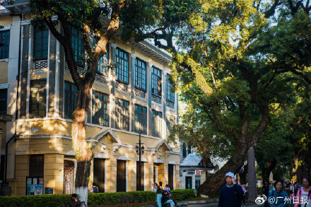 “冻”真格！广州气温再创下半年新低