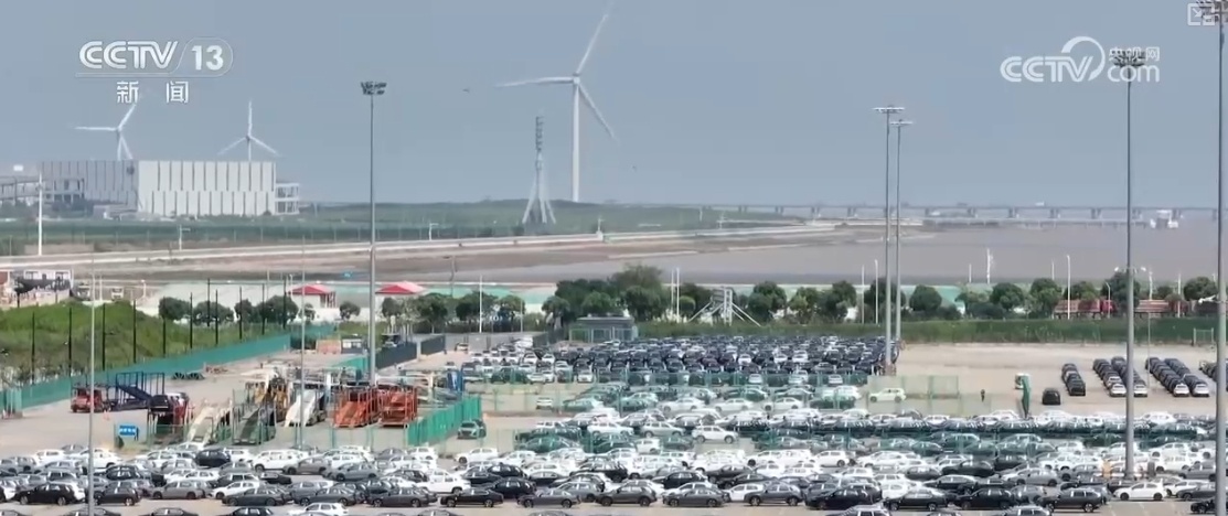 巨大利润！提效率、降成本 数据开发利用降低物流成本