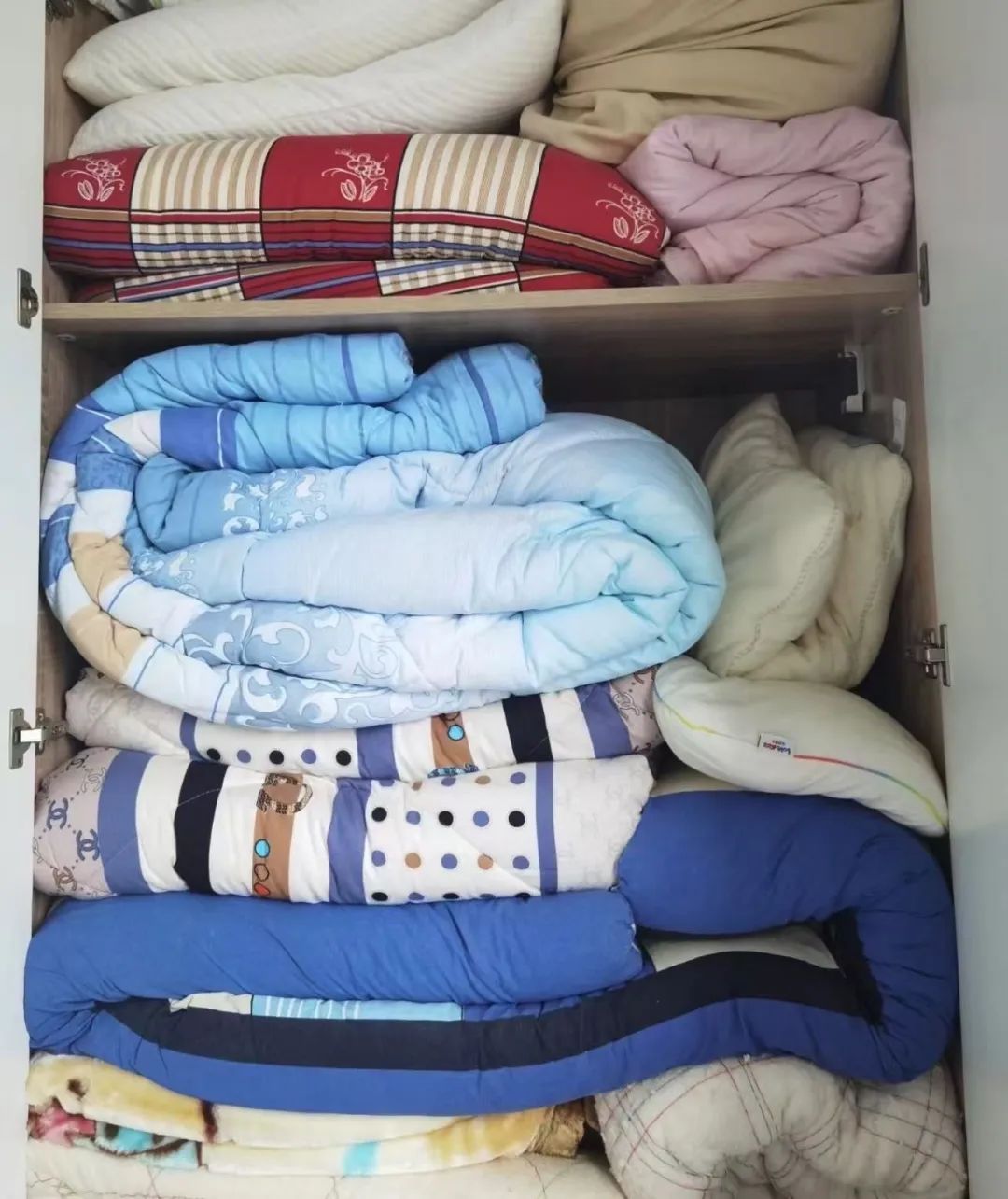 狂飙至20℃!浙江天气大反转!网友吵翻了:这事到底急不急? 狂飙至20℃!浙江天气大反转!网友吵翻了:这事到底急不急?