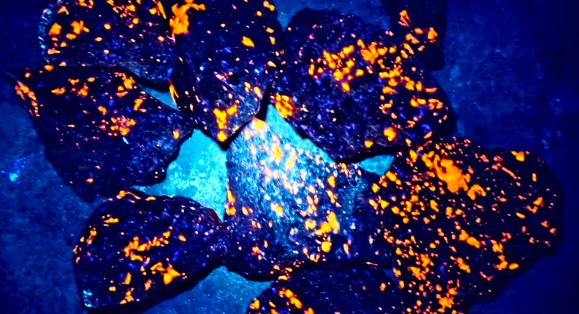 明天开馆!免费参观!广州又一宝藏博物馆诞生 明天开馆!免费参观!广州又一宝藏博物馆诞生