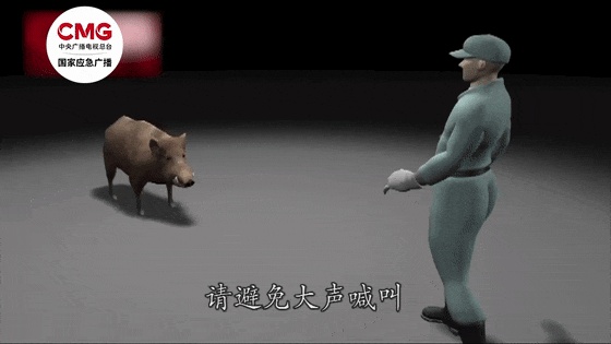 惊险!又有野猪闯入院内,大爷持棍对峙 惊险!又有野猪闯入院内,大爷持棍对峙