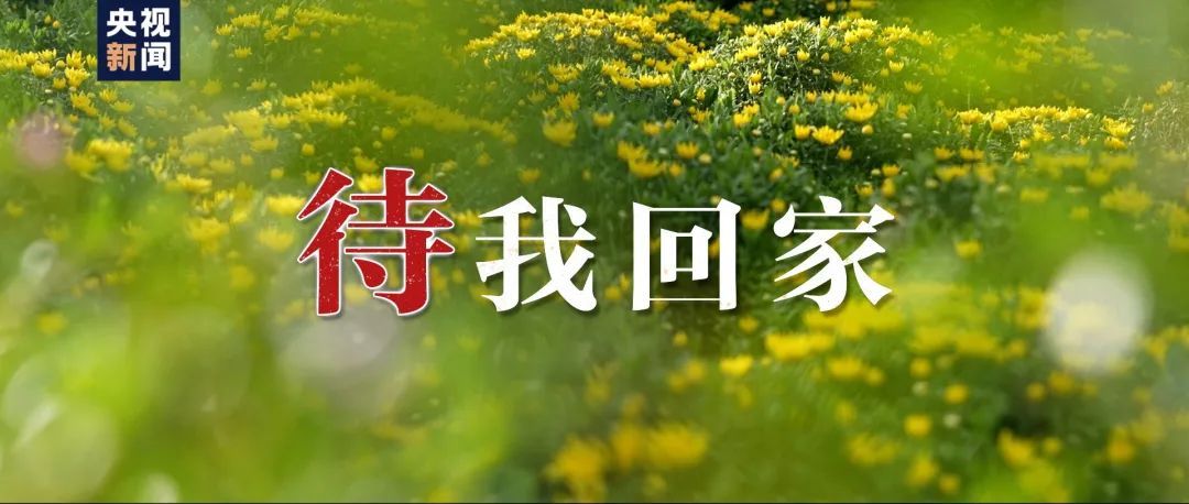 今天，沈阳以最高礼遇迎接他们回家