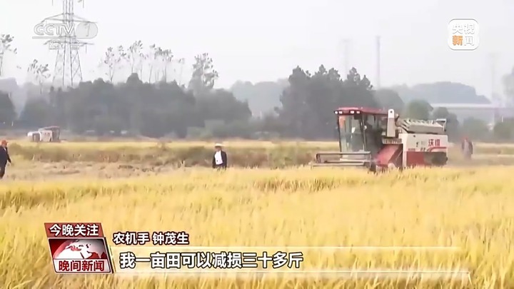 减少粮食浪费有多少学问?收割、储存、加工每个环节都不能少! 减少粮食浪费有多少学问?收割、储存、加工每个环节都不能少!