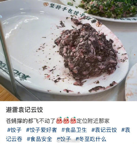 袁记云饺被曝饺子馅上有苍蝇在飞 袁记云饺回应：会严肃批评并责令改正