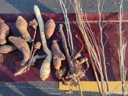 锁边“合龙”!塔克拉玛干沙漠的围巾织好了 锁边“合龙”!塔克拉玛干沙漠的围巾织好了