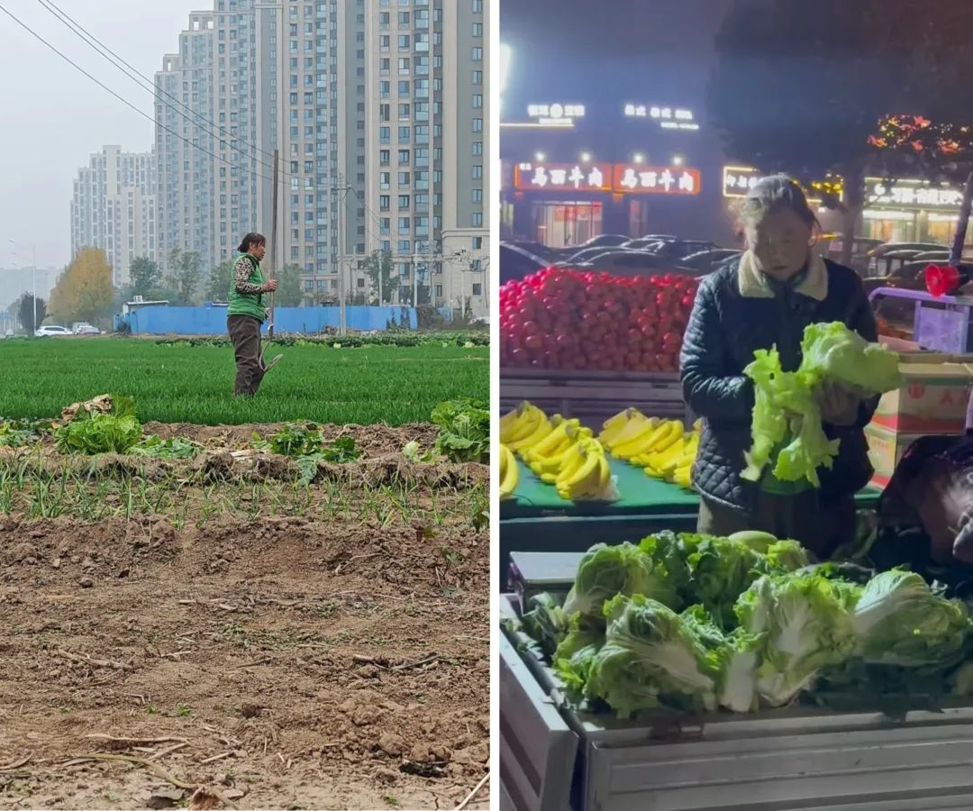 “种完麦子,我就往南走”!感动全网的她,到云南啦 “种完麦子,我就往南走”!感动全网的她,到云南啦