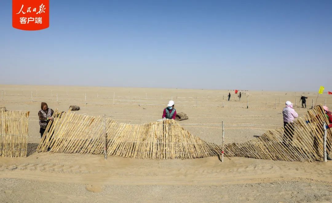 10万棵玫瑰的浪漫，给塔克拉玛干！