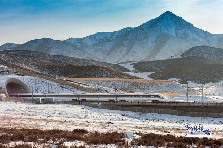 坐火车与天鹅同框 这两条线路不容错过 坐火车与天鹅同框 这两条线路不容错过