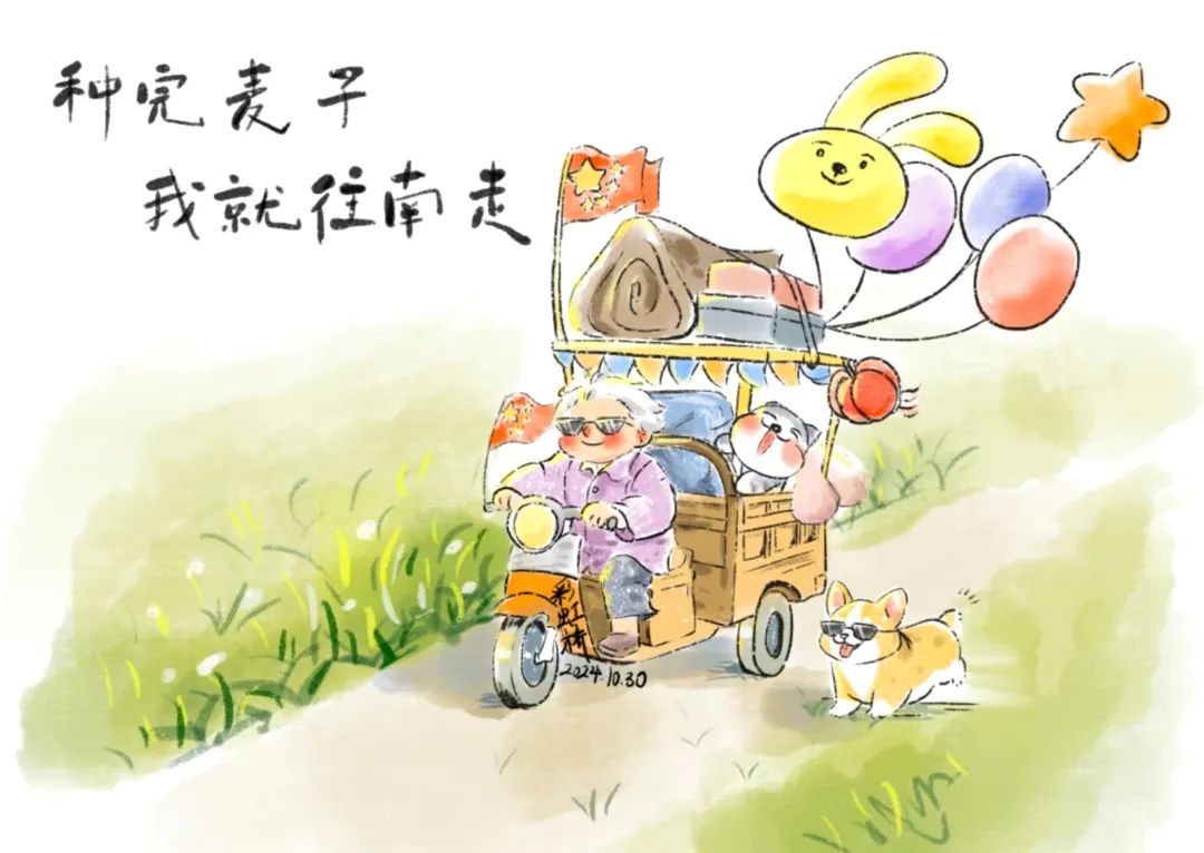 “种完麦子,我就往南走”!感动全网的她,到云南啦 “种完麦子,我就往南走”!感动全网的她,到云南啦