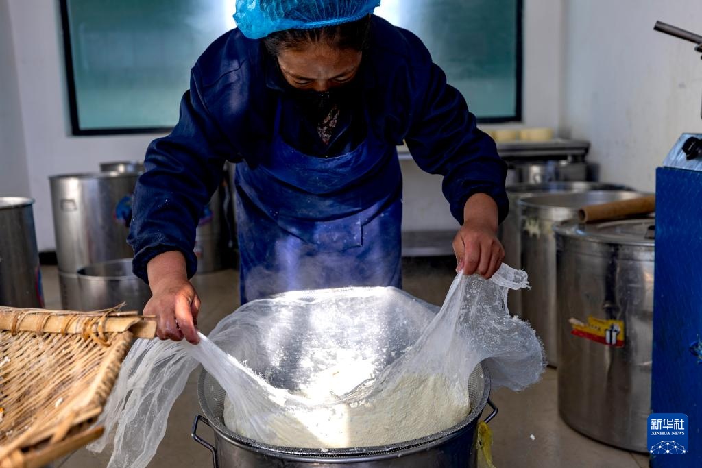 西藏那曲：牦牛奶产业助牧民增收就业