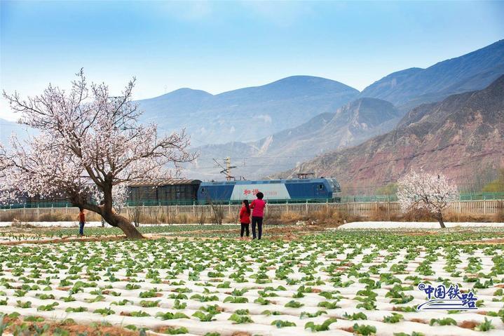 坐火车与天鹅同框 这两条线路不容错过 坐火车与天鹅同框 这两条线路不容错过