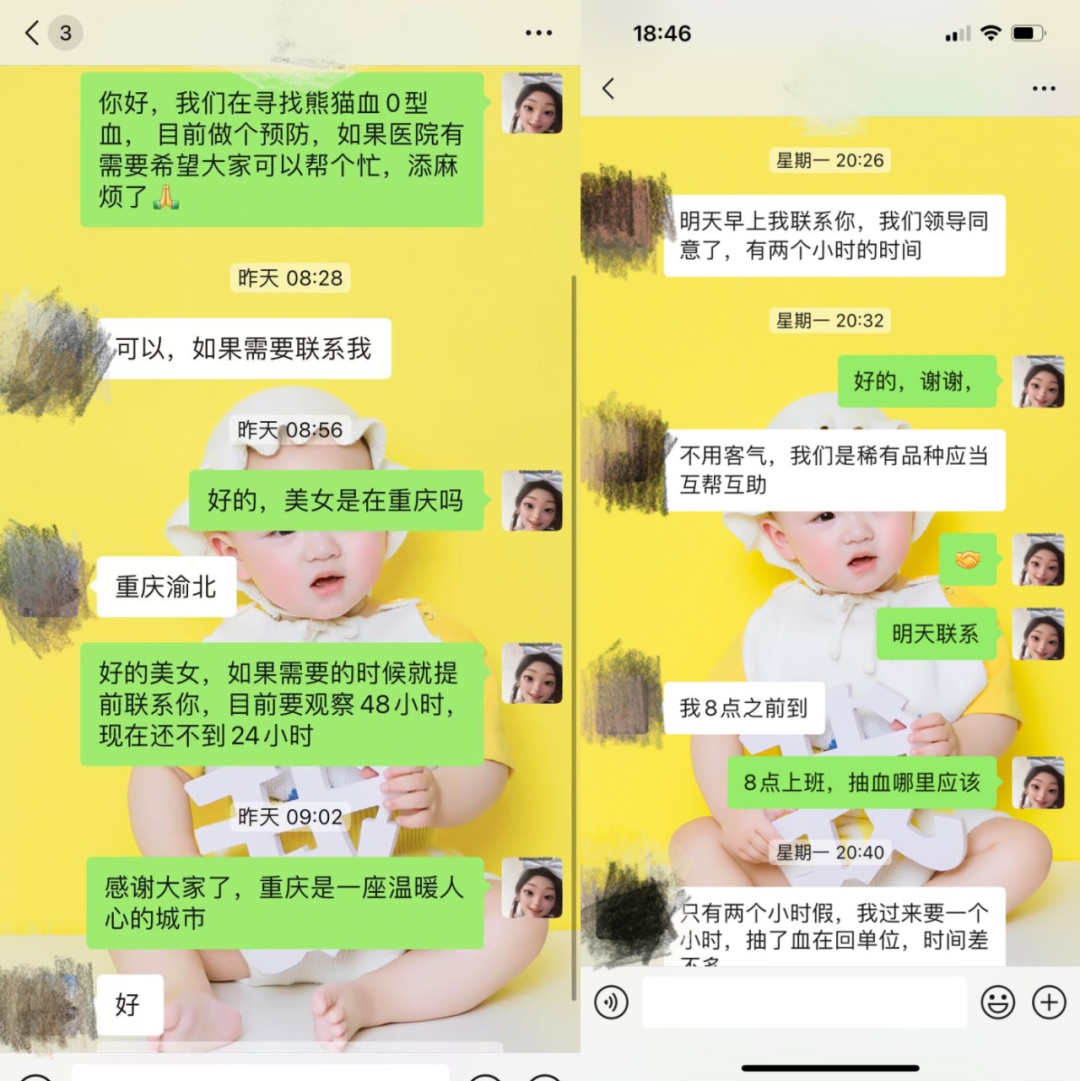 “我们随叫随到”熊猫血宝宝急需救助，重庆热心人接力相助