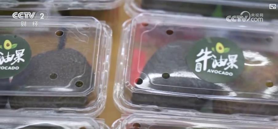 从山间果园到全球餐桌!国产鲜果打开海外市场 传递中国味道 从山间果园到全球餐桌!国产鲜果打开海外市场 传递中国味道