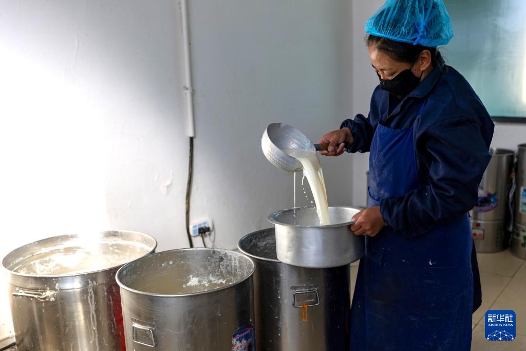 西藏那曲：牦牛奶产业助牧民增收就业